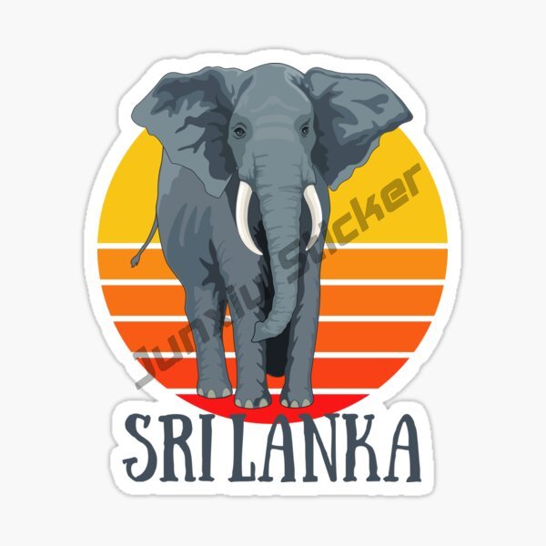패션 자동차 스티커 스리랑카 국기 지도 액세서리, 비닐 - Laptop Accessories Sri Lanka 리뷰 및 가격